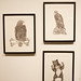 Marcus Wolff Photo 8