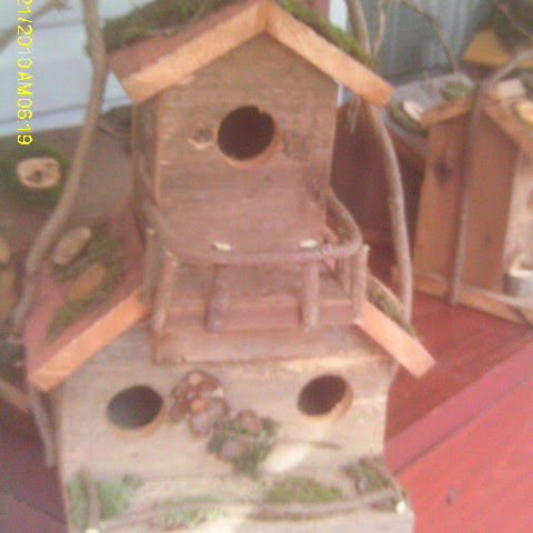 Sharon Dodd Photo 25