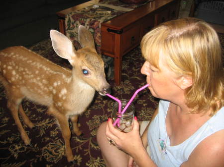 Sherry Browning Photo 30
