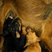 Melissa Hoch Photo 15