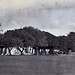 Ann Garrison Photo 13