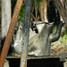 Billy Rust Photo 8