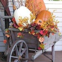Diane Reese Photo 8