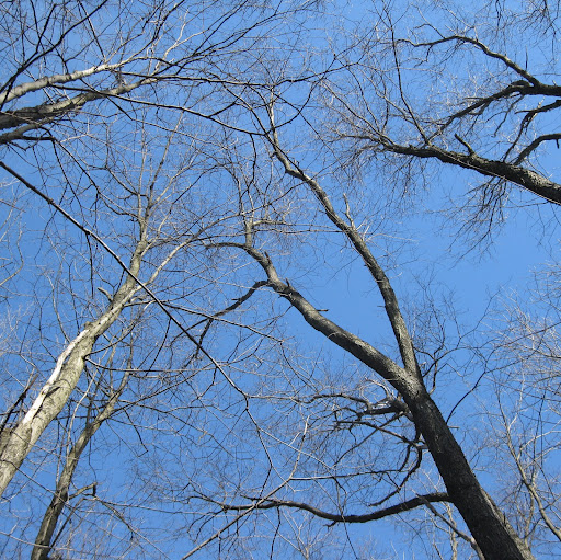 Keith Watkins Photo 26
