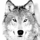 Jeremy Snow Photo 39