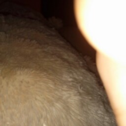 Liliana Perales Photo 15