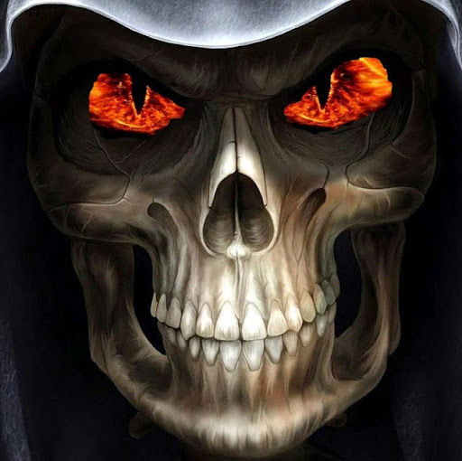 Shane Bateman Photo 13