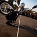 Chris Bull Photo 29