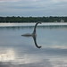 Harriet Summers Photo 10