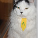 Ann Day Photo 29