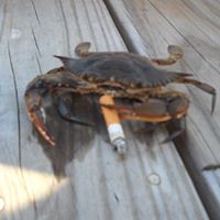 Daniel Crabtree Photo 19