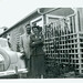 Terry Freeman Photo 41
