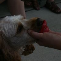 Craig Hoffman Photo 17