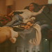 Barbara Zucker Photo 15