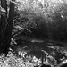 Jonathan Dudley Photo 10