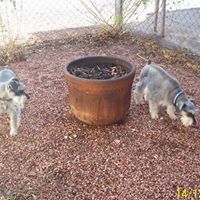 Joanne Randall Photo 29