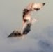 Jack Fennell Photo 14