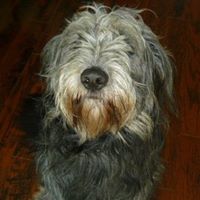 Murphy Cook Photo 3