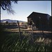 Diana Reed Photo 33