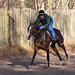 Robert Collet Photo 10