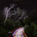 Jason Lapp Photo 26