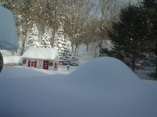 Carolyn Scott Photo 21
