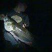 Michael Hoye Photo 8