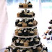 Ann Rogers Photo 17