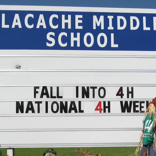 Stacy Babin Photo 12