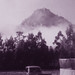 Paul Shales Photo 6