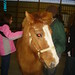 Lance Short Photo 5