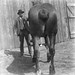 Gordon Dunlap Photo 7