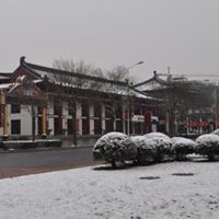 Chung Wong Photo 10