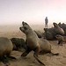 Brenda Seal Photo 7