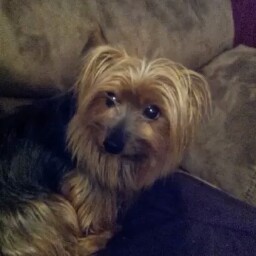 Kathleen Pickett Photo 6