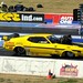 Andra Ford Photo 14