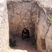 Sharron Simon Photo 11