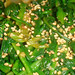 Michelle Sides Photo 14
