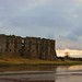 Gerald Rees Photo 15