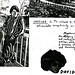 David Shepp Photo 5