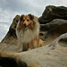 Sally Watson Photo 35