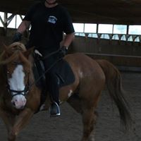 Lisa Rowell Photo 14