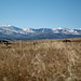 Julie Crouse Photo 14
