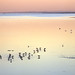 Tim Gillingham Photo 13