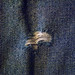 Jean Hartmann Photo 8