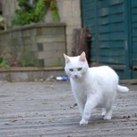 Graham Holmes Photo 13