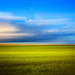 Joy Fields Photo 14