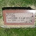 Caroline Larsen Photo 4