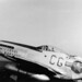 Dennis Cavanaugh Photo 34