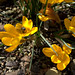 Elizabeth Herz Photo 13